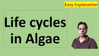 शैवालों का जीवन चक्र । Life cycles in Algae  Alternation of Generation  Algae Notes । bsc 1st year [upl. by Hapte214]