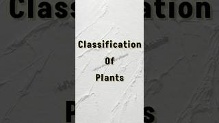 Classification of Plants  shorts ytshorts trending biology neet upsc science plants [upl. by Aremmat]