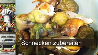 Schnecken zubereiten  Rezept [upl. by Ahtilat832]