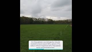 ICLs Polysulphate op grasland agriculture fertilizers [upl. by Spoor]