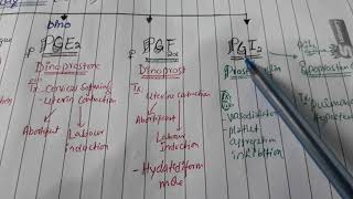 Variant of Prostaglandin with uses [upl. by Eenwahs486]