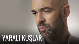 Murat Evgin  Yaralı Kuşlar Official Music Video [upl. by Amarillis]