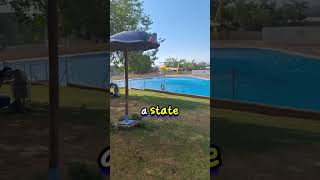 Helicopter Takes Water From Private Pool emepoli shorts [upl. by Sidoma]