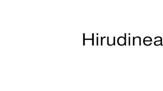 How to pronounce Hirudinea [upl. by Iiette]