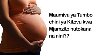 Maumivu ya Tumbo Chini ya Kitovu kwa Mjamzito husababishwa na Nini  Maumivu ya Chini ya Kitovu [upl. by Melvena]