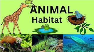 Animal Habitats  Animal Homes  For kids [upl. by Boy]