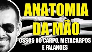 Anatomia da Mão Ossos do Carpo Metacarpos e Falanges  Sistema EsqueléticoÓsseo  VideoAula 054 [upl. by Airekal]