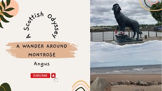 A Wander Around Montrose [upl. by Einot]