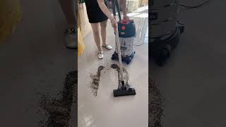 16 Tengba 3000W household and commercial highpower vacuum cleaner [upl. by Arabel346]