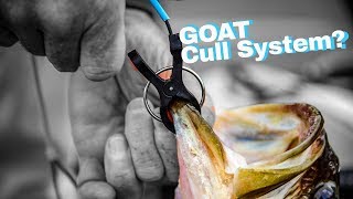 ALL NEW Cull SystemBassmaster Classic VLOG [upl. by Acirfa]