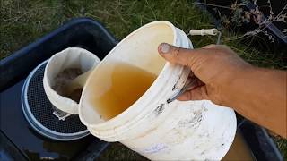 Alluvial Gold Prospecting  How to Capture Superfine Gold Suspended in Solution [upl. by Woodie]