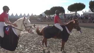 Stand CSO Poney 3D Equipe Junior [upl. by Aromat924]