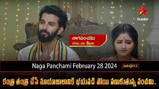 Naga Panchami February 28 2024 కంత్రి తంత్రి చేసే మాయాజాలానికి భయపడి పోయి వణుకుతున్న పంచమి [upl. by Nance]