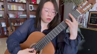 Melody of the Night  Guitar Performance by Ying Xu [upl. by Vada]