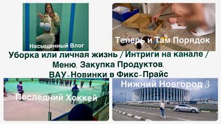 Уборка или личная жизнь  Интриги на канале  Меню Закупка Продуктов ВАУНовинки в ФиксПрайс [upl. by Argile]