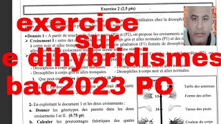 exercice sur le dihybridismebac2023 PC [upl. by Oinotnaesoj]