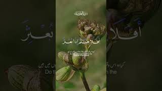 I am New on YouTube channel quran viralvideo [upl. by Emoreg792]