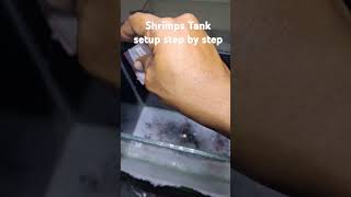 Shrimps Tank setup step by step part 1 [upl. by Onil]