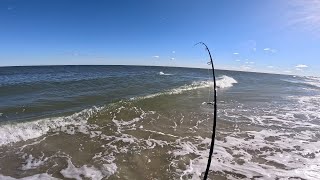 2024 November NJ Surf Fishing Striped Bass Fall Run [upl. by Tija]