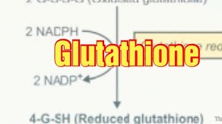 Glutathione Biochemistry Synthesis and Functions of Glutathione glutathione [upl. by Rehtul]