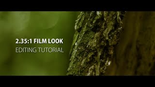 2351  Anamorphic Film Look After Effects  Premiere Pro Tutorial [upl. by Tyrus]