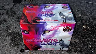 Howling Wolf 35 Shot Firework 💥 [upl. by Diana]