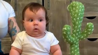 Funniest Baby Videos of the Week  Try Not To Laugh [upl. by Kcirdet50]