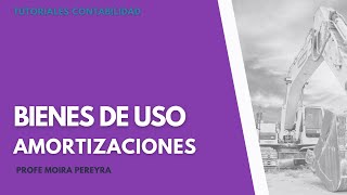 Bienes de Uso  Amortizaciones  Contabilidad  Activo [upl. by Alyk]