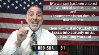 Can I Fly or Get on an Airplane with a Warrant 77 Michael A Haber Miami Criminal Lawyer [upl. by Elyssa]