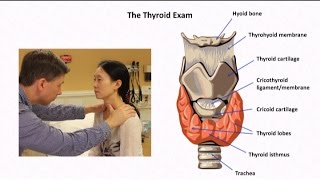 The Thyroid Exam and Physical Diagnosis of Thyroid Disease [upl. by Inhoj]