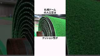 「かたすぎる」札幌ドームの人工芝に関する雑学 野球解説 野球 札幌ドーム [upl. by Sybille]