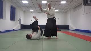 Aikido Against Resistance 2 [upl. by Oremar]