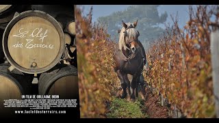 🍷 La Clef des Terroirs 🎥 Film documentaire français [upl. by Anaitsirhc]