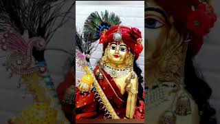 Mero chhoto so laddu Gopal 🙏🙏🌹🥰 viral video please subscribe 🙏 [upl. by Michella]