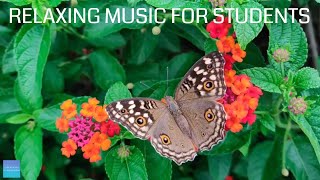 Relaxing Music For Elementary Students  Insects  Quiet classroom music for children study music [upl. by Anire]