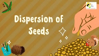 Watch A Large Variety Of Seeds Using Smart Dispersal Techniques [upl. by Hoi832]