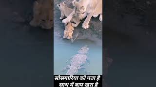 Kyesi halt hai meri aa tujhe Mai btao  trending viralvideo youtubeshorts animals [upl. by Moffat]