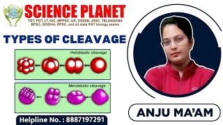 TYPES OF CLEAVAGE II BY ANJU MAM II SCIENCE PLANET II Embryonic Development [upl. by Galloway]