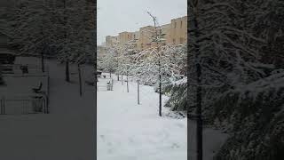 La premiere Neige de lannéeParisyoutube [upl. by Apur]