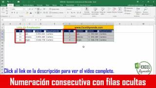 Promo  Numeración consecutiva con filas ocultas [upl. by Trillbee553]