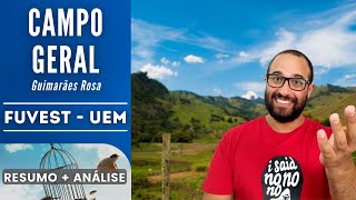 CAMPO GERAL  FUVEST  UEM  Guimarães Rosa  Resumo  Análise [upl. by Aicilihp]