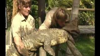 Steve Irwin  Most Dangerous Encounters Part 4 [upl. by Navap]