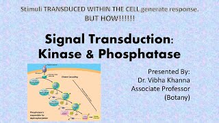 Signal transduction  Kinases and phosphatases [upl. by Eenhat123]