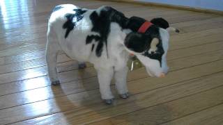 Josie the Cow Battery Operated Toy [upl. by Noicpecnoc139]