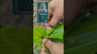 Pi Pressedo insecticide short video status agriculture status [upl. by Jeri526]