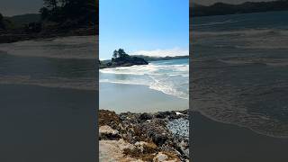 Strolling at the tofino Chesterman Beach  vancouverisland 🇨🇦 [upl. by Mumford]