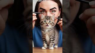 Kittens First Make Up Mishap😹 Cute Cat Kitten [upl. by Peggir]