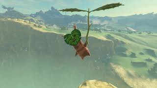 Korok seeds  Satori Mountain  Ridgeland Tower 4759  Zelda BOTW [upl. by Audy]