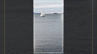 Sailing  A trip to the breakwater  Bodø2024  European Capital of Culture  150924c [upl. by Rolfe290]