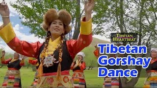 Pema 2018  ZomDro  Tibetan Group Dance Gorshay [upl. by Atirys254]